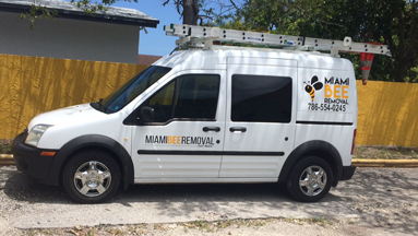 Miami Bee Removal Van Picture