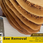 bee removal