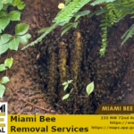 bee removal